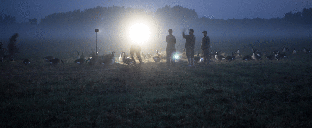 Alcuni cacciatori sono noti per portare con se lampade da lavoro per illuminare l'accampamento